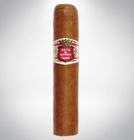 Hoyo de Monterrey Petit Robusto